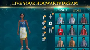 Harry Potter: Hogwarts Mystery 2